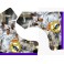 Real Madrid C.F.