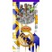 Real Madrid C.F.